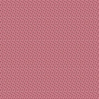 LE PETIT BONHEUR COCO 1