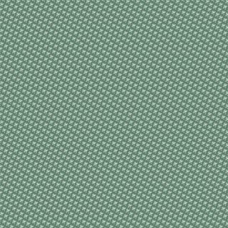 LE PETIT BONHEUR COCO 3