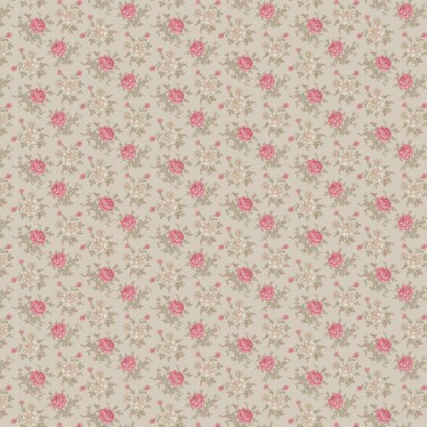 LE PETIT BONHEUR MINETTE 1