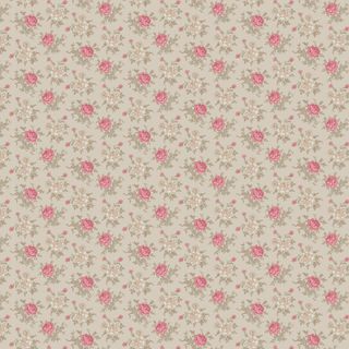 LE PETIT BONHEUR MINETTE 1