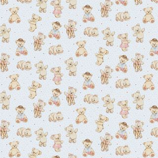 BED BUDS BEAR COORINDATE