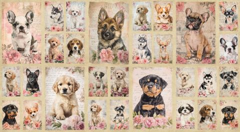 COOPS FARM - PUPPIES