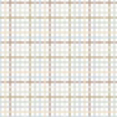 PAWS, CLAWS & ROARS - GINGHAM