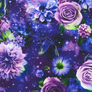 GALACTIC GARDEN