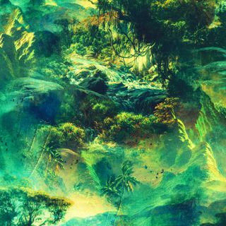 PEACOCK PARADISE