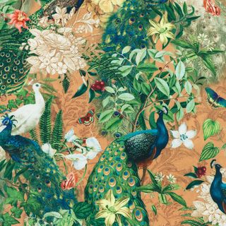 PEACOCK PARADISE