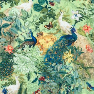 PEACOCK PARADISE