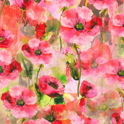 PAINTERLY PETALS - FLORA FIELDS