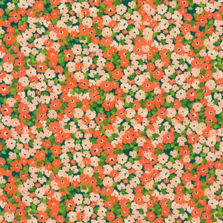 PAINTERLY PETALS - FLORA FIELDS