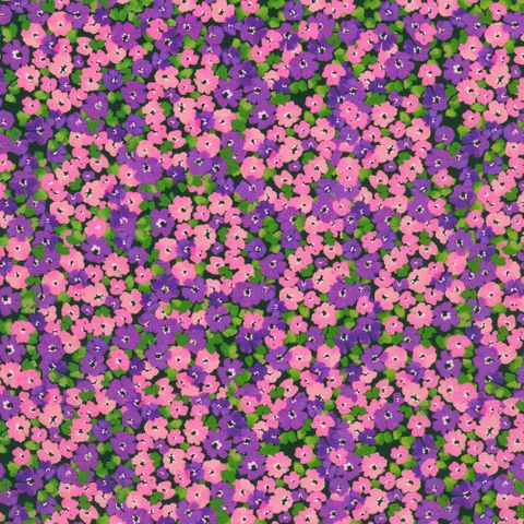 PAINTERLY PETALS - FLORA FIELDS