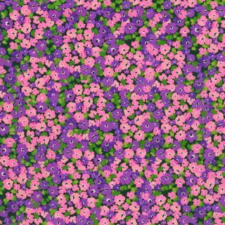 PAINTERLY PETALS - FLORA FIELDS