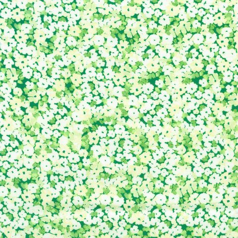 PAINTERLY PETALS - FLORA FIELDS