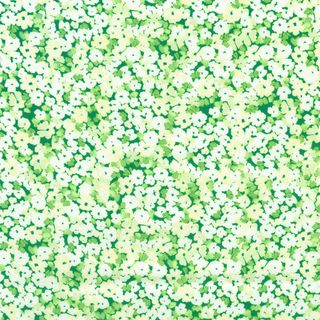 PAINTERLY PETALS - FLORA FIELDS