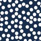 WIDELOADS 108" FUNDAMENTALS GAMBIER BLUE