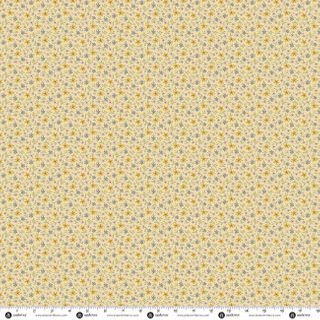 PRAIRIE BLOSSOMS BY LITTLE HOUSE ON THE PRAIRIE�