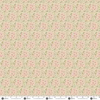PRAIRIE BLOSSOMS BY LITTLE HOUSE ON THE PRAIRIE�