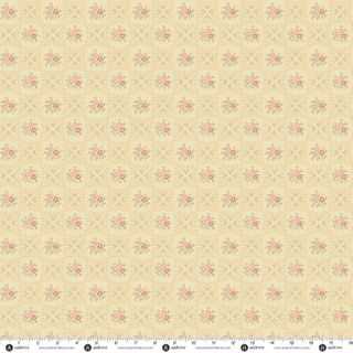 PRAIRIE BLOSSOMS BY LITTLE HOUSE ON THE PRAIRIE�