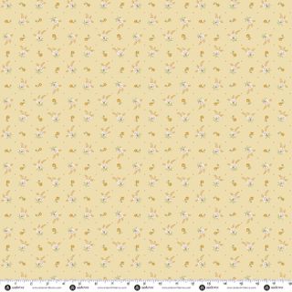 PRAIRIE BLOSSOMS BY LITTLE HOUSE ON THE PRAIRIE�