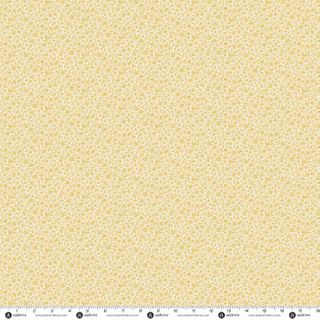 PRAIRIE BLOSSOMS BY LITTLE HOUSE ON THE PRAIRIE�
