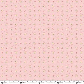 PRAIRIE BLOSSOMS BY LITTLE HOUSE ON THE PRAIRIE�