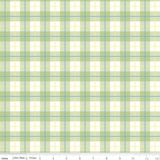 PETER RABBIT� SPRING PLAID HONEYDEW