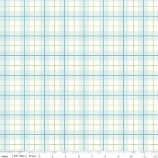 PETER RABBIT� SPRING PLAID BLEACHED DENIM