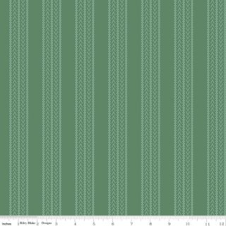 WOVEN BANDED EVERGREEN