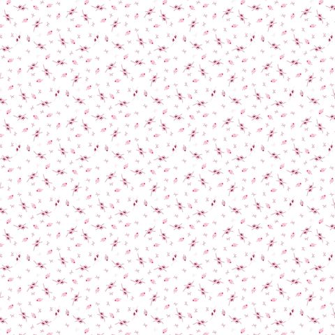 MISCELLANY BACKGROUNDS
