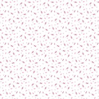 MISCELLANY BACKGROUNDS