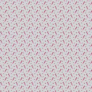 MISCELLANY BACKGROUNDS