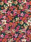 SS26 - FLORAL REBELLION DAFFODIL DAYS C