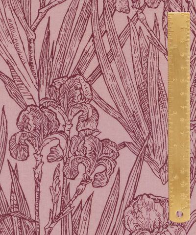 TANA LAWN AW26 INFINITE IRIS