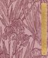 TANA LAWN AW26 INFINITE IRIS