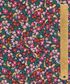 TANA LAWN AW26 FAYE