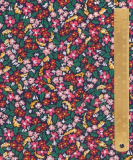 TANA LAWN AW26 FAYE