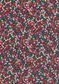 TANA LAWN AW26 FAYE
