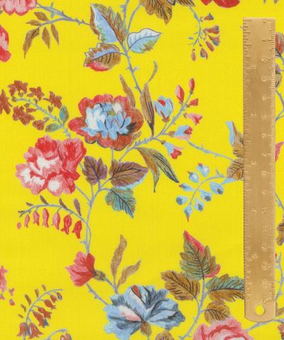 BLOOM SERENADE YORKSHIRE ROSE Y