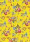 BLOOM SERENADE YORKSHIRE ROSE Y