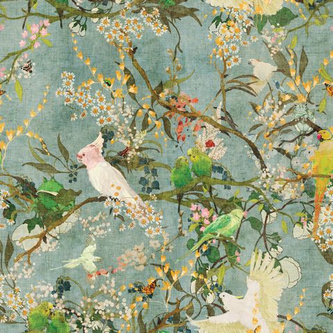 EXOTIC BIRDS