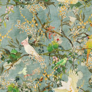 EXOTIC BIRDS