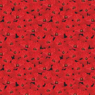 POPPIES