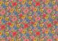 CLASSIC 26 MEADOW SONG E