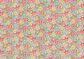 CLASSIC 26 GEORGINA ROSE A