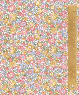 CLASSIC 26 DORA DAISY C