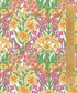 CLASSIC 26 MOUNTAIN PRIMROSE C