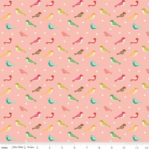 AVIARY BIRD PEACHES 'N CREAM