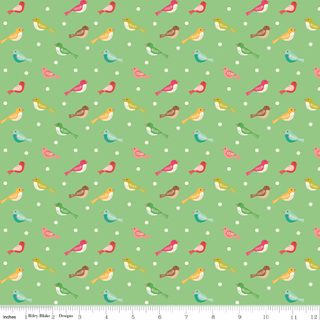 AVIARY BIRD SPRING GREEN