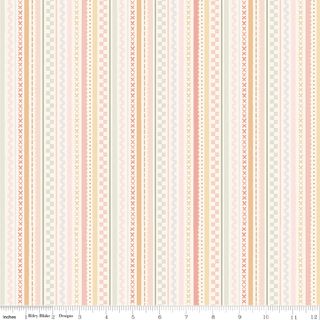 SILLY GOOSE STRIPES MULTI