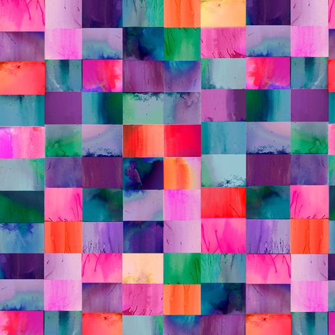 COLOR IN BLOOM