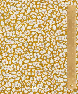 #CLASSIC 24 FEATHER MEADOW A